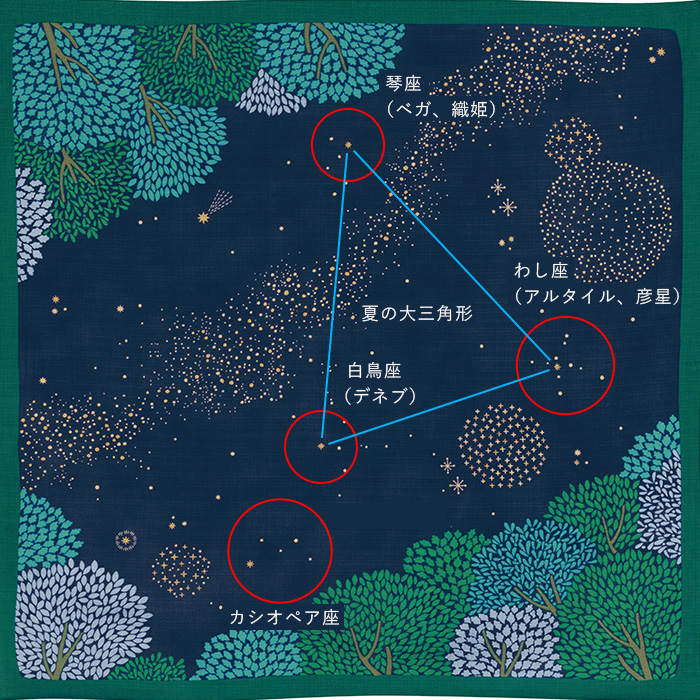 スターフォレスト