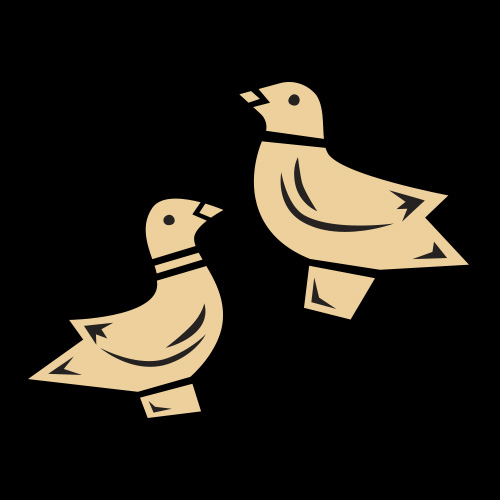 cochae-content-gangu-21.jpg