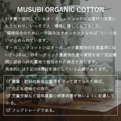 70 MUSUBI ORGANIC 無地 キナリ ふろしき むす美 オンライン