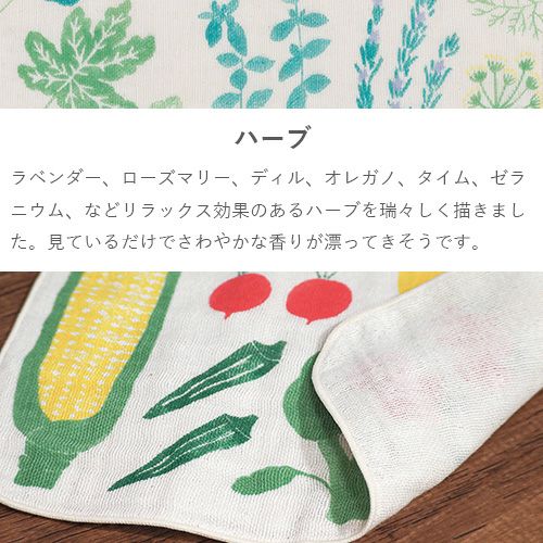 MUSUBI ORGANIC 4重ガーゼハンカチ 【抗菌防臭】 ハーブ グリーン